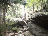 Rave Run Photos  8.5 miles, +2000 feet elevation gain, -2000 feet elevation loss. : Dublin, New Hampshire, United States, USA