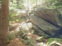 Rave Run Photos  8.5 miles, +2000 feet elevation gain, -2000 feet elevation loss. : Dublin, New Hampshire, United States, USA