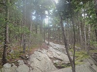 Rave Run Photos  8.5 miles, +2000 feet elevation gain, -2000 feet elevation loss. : Dublin, New Hampshire, United States, USA