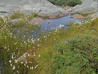 Rave Run Photos  8.5 miles, +2000 feet elevation gain, -2000 feet elevation loss. : Dublin, New Hampshire, United States, USA