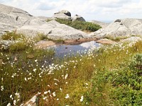Rave Run Photos  8.5 miles, +2000 feet elevation gain, -2000 feet elevation loss. : Dublin, New Hampshire, United States, USA