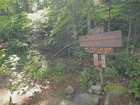 Rave Run Photos  A rocky run, well really hike, up to the summit of New Hampshires Mt Moosilauke. July 31, 2013 : Kasdorf, Rave Runs, Run, Trail, Glencliff, New Hampshire, United States, USA, Woodsville