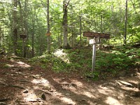 Rave Run Photos  A rocky run, well really hike, up to the summit of New Hampshires Mt Moosilauke. July 31, 2013 : Kasdorf, Rave Runs, Run, Trail, Glencliff, New Hampshire, United States, USA, Woodsville