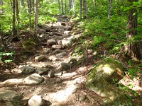 Rave Run Photos  A rocky run, well really hike, up to the summit of New Hampshires Mt Moosilauke. July 31, 2013 : Kasdorf, Rave Runs, Run, Trail, Glencliff, New Hampshire, United States, USA, Woodsville