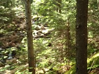 Rave Run Photos  A rocky run, well really hike, up to the summit of New Hampshires Mt Moosilauke. July 31, 2013 : Kasdorf, Rave Runs, Run, Trail, Glencliff, New Hampshire, United States, USA, Woodsville