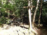 Rave Run Photos  A rocky run, well really hike, up to the summit of New Hampshires Mt Moosilauke. July 31, 2013 : Kasdorf, Rave Runs, Run, Trail, Glencliff, New Hampshire, United States, USA, Woodsville