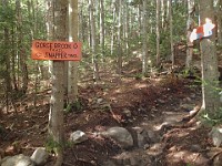 Rave Run Photos  A rocky run, well really hike, up to the summit of New Hampshires Mt Moosilauke. July 31, 2013 : Kasdorf, Rave Runs, Run, Trail, Glencliff, New Hampshire, United States, USA, Woodsville