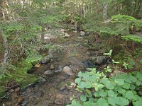 Rave Run Photos  A rocky run, well really hike, up to the summit of New Hampshires Mt Moosilauke. July 31, 2013 : Kasdorf, Rave Runs, Run, Trail, Glencliff, New Hampshire, United States, USA, Woodsville