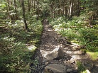 Rave Run Photos  A rocky run, well really hike, up to the summit of New Hampshires Mt Moosilauke. July 31, 2013 : Kasdorf, Rave Runs, Run, Trail, Glencliff, New Hampshire, United States, USA, Woodsville