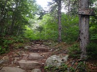 Rave Run Photos  A rocky run, well really hike, up to the summit of New Hampshires Mt Moosilauke. July 31, 2013 : Kasdorf, Rave Runs, Run, Trail, Breezy Point, New Hampshire, United States, USA, Woodsville