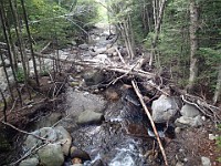 Rave Run Photos  A rocky run, well really hike, up to the summit of New Hampshires Mt Moosilauke. July 31, 2013 : Kasdorf, Rave Runs, Run, Trail, Breezy Point, New Hampshire, United States, USA, Woodsville