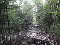 Rave Run Photos  A rocky run, well really hike, up to the summit of New Hampshires Mt Moosilauke. July 31, 2013 : Kasdorf, Rave Runs, Run, Trail, Breezy Point, New Hampshire, United States, USA, Woodsville
