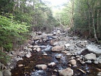 Rave Run Photos  A rocky run, well really hike, up to the summit of New Hampshires Mt Moosilauke. July 31, 2013 : Kasdorf, Rave Runs, Run, Trail, Breezy Point, New Hampshire, United States, USA, Woodsville