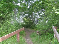 Rave Run Photos  The Winnipesaukee River Trail in Tilton NH. I found the other end very close to the hotel. Ran from hotel to the park in town where the other trail begins, or ends... : New Hampshire, The Plains, Tilton, United States, USA