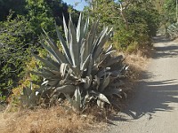 2013 Trabuco Canyon CA 033
