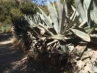 2013 Trabuco Canyon CA 034