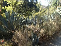 2013 Trabuco Canyon CA 035