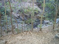 2013 Trabuco Canyon CA 041