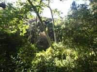 2013 Trabuco Canyon CA 047