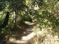 2013 Trabuco Canyon CA 048