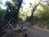 2013 Trabuco Canyon CA 054