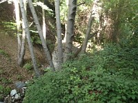 2013 Trabuco Canyon CA 063