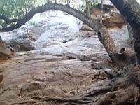 2013 Trabuco Canyon CA 065
