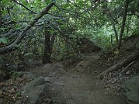 2013 Trabuco Canyon CA 070