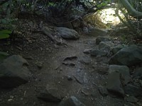 2013 Trabuco Canyon CA 071