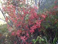 2013 Trabuco Canyon CA 076