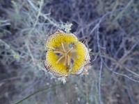 2013 Trabuco Canyon CA 087