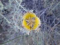 2013 Trabuco Canyon CA 088