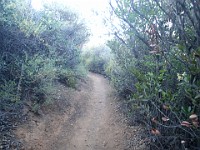 2013 Trabuco Canyon CA 094