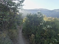 2013 Trabuco Canyon CA 105