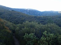 2013 Trabuco Canyon CA 118