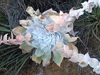 2013 Trabuco Canyon CA 126