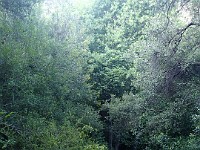2013 Trabuco Canyon CA 127