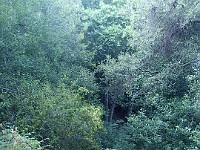 2013 Trabuco Canyon CA 128