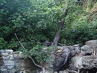2013 Trabuco Canyon CA 130