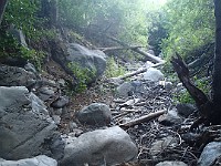 2013 Trabuco Canyon CA 135