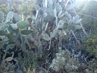 2013 Trabuco Canyon CA 144