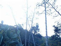 2013 Trabuco Canyon CA 145