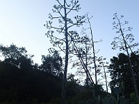 2013 Trabuco Canyon CA 147