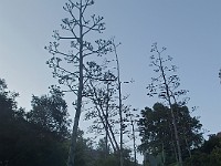 2013 Trabuco Canyon CA 148