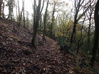 Rave Run - Fun places I have run.  A run from the town of Weinheim Germany to two castles outside of town on the hill tops.December 1, 2013. : Baden-Württemberg, DEU, Germany, Rave Run, Running, Weinheim