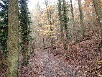 Rave Run - Fun places I have run.  A run from the town of Weinheim Germany to two castles outside of town on the hill tops.December 1, 2013. : Baden-Württemberg, DEU, Germany, Rave Run, Running, Weinheim