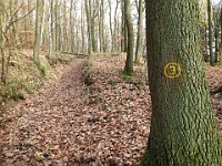 Rave Run - Fun places I have run.  A run from the town of Weinheim Germany to two castles outside of town on the hill tops.December 1, 2013. : Baden-Württemberg, DEU, Germany, Rave Run, Running, Weinheim