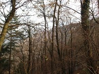 Rave Run - Fun places I have run.  A run from the town of Weinheim Germany to two castles outside of town on the hill tops.December 1, 2013. : Baden-Württemberg, DEU, Germany, Rave Run, Running, Weinheim