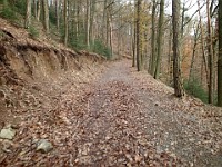 Rave Run - Fun places I have run.  A run from the town of Weinheim Germany to two castles outside of town on the hill tops.December 1, 2013. : Baden-Württemberg, DEU, Germany, Rave Run, Running, Weinheim