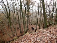 Rave Run - Fun places I have run.  A run from the town of Weinheim Germany to two castles outside of town on the hill tops.December 1, 2013. : Baden-Württemberg, Birkenau, DEU, Germany, Gorxheim, Hessen, Rave Run, Running, Weinheim